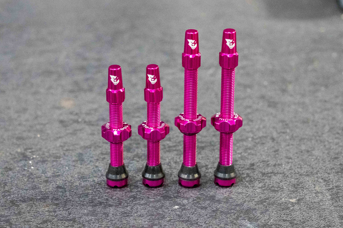 TUBELESS VALVE STEMS