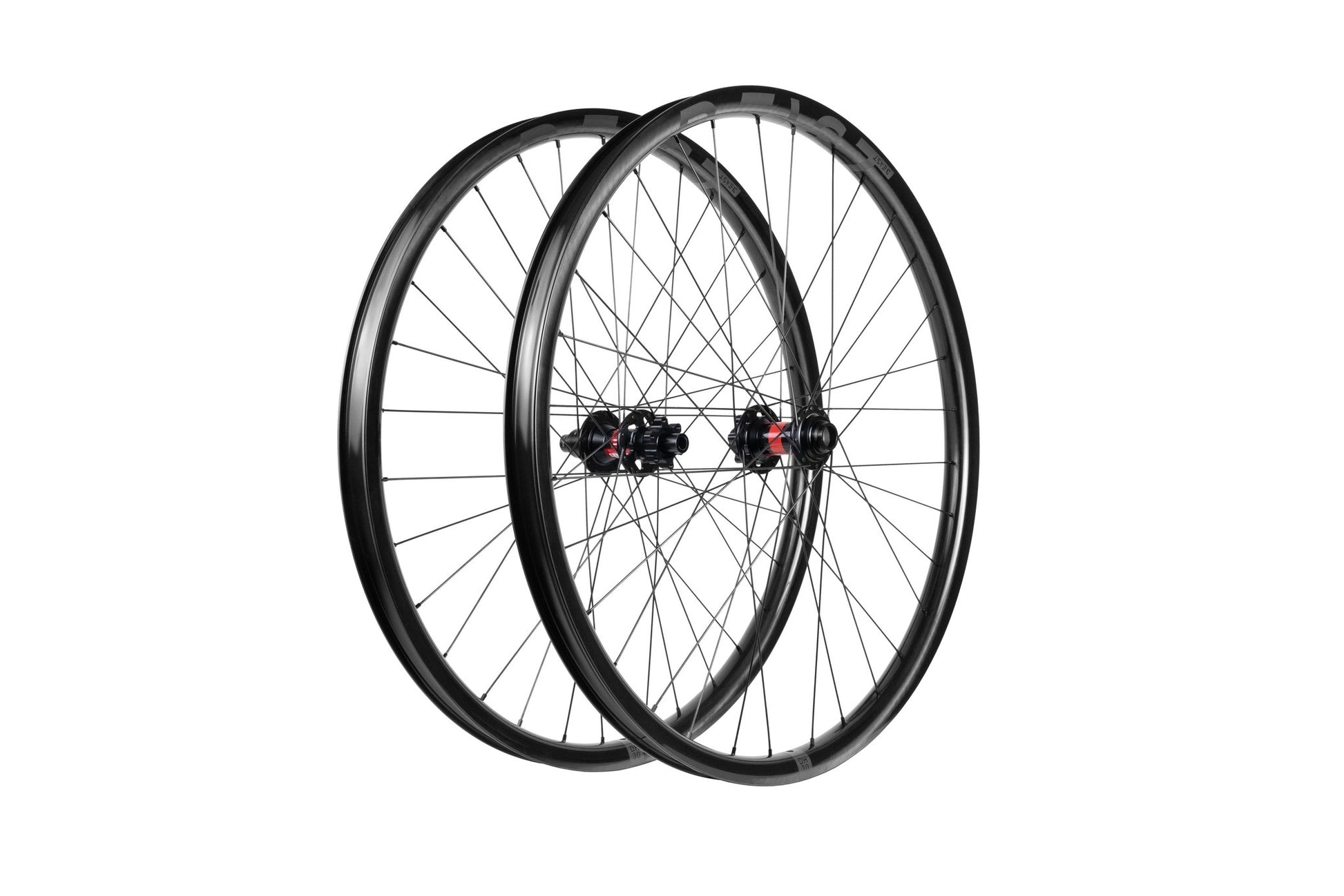 DH30  | DT Swiss 350 - Beast Components