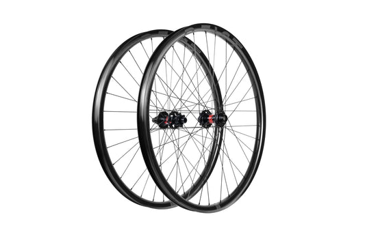 DH30  | DT Swiss 350 - Beast Components