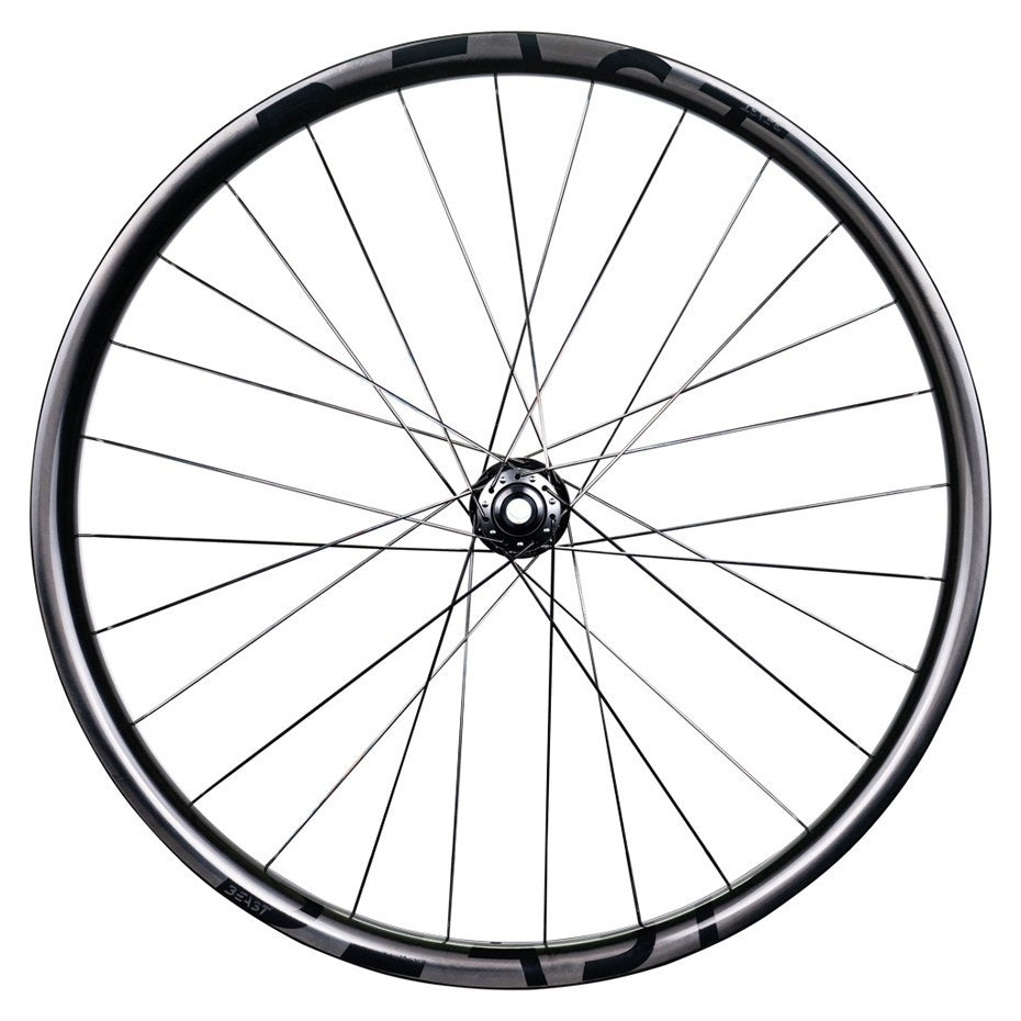 ED 30 UD Black | DT Swiss 350 - Beast Components
