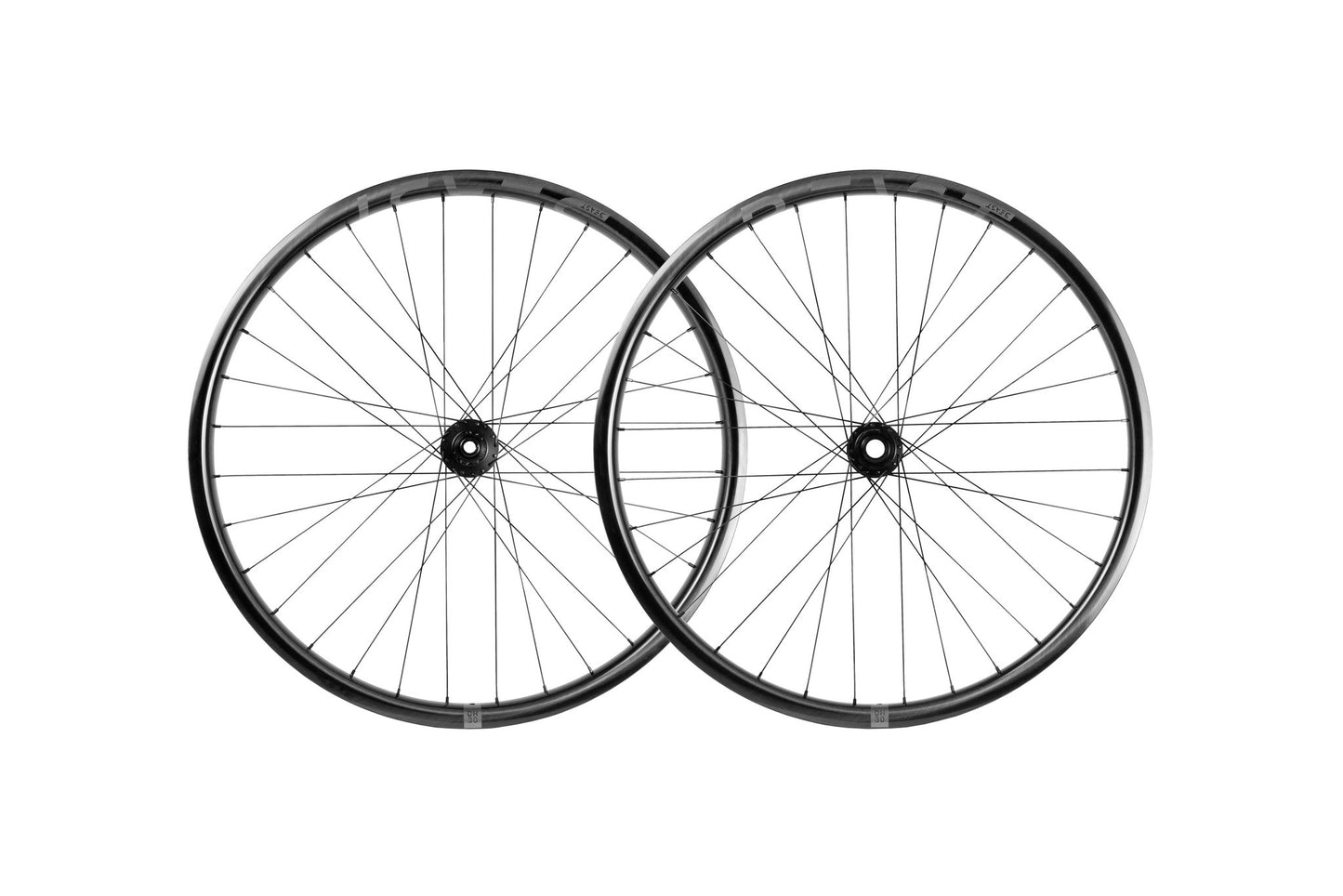 DH30 | DT Swiss 350 - Beast Components