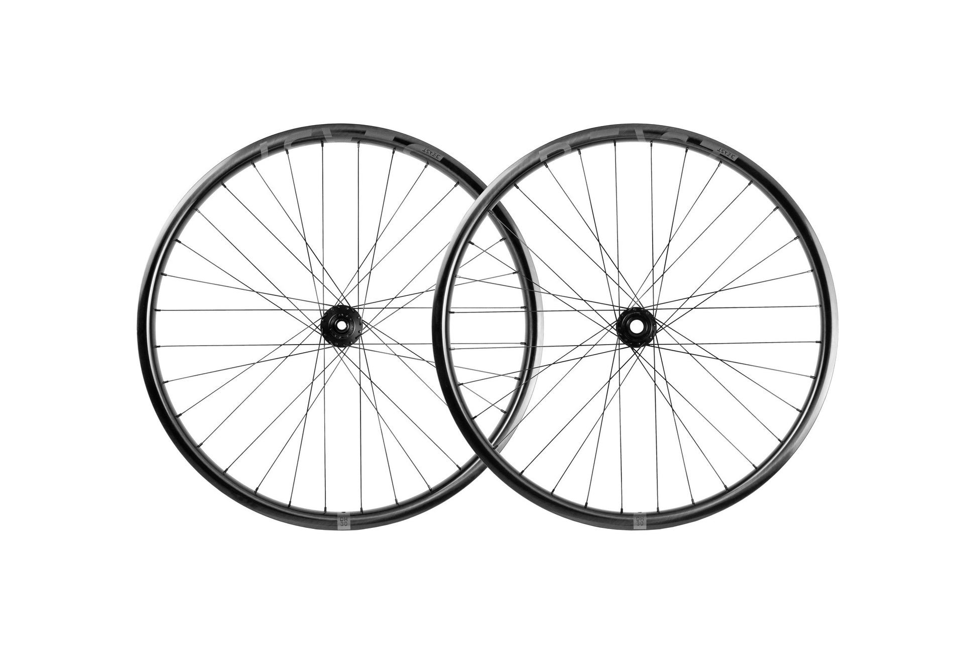DH30  | DT Swiss 350 - Beast Components