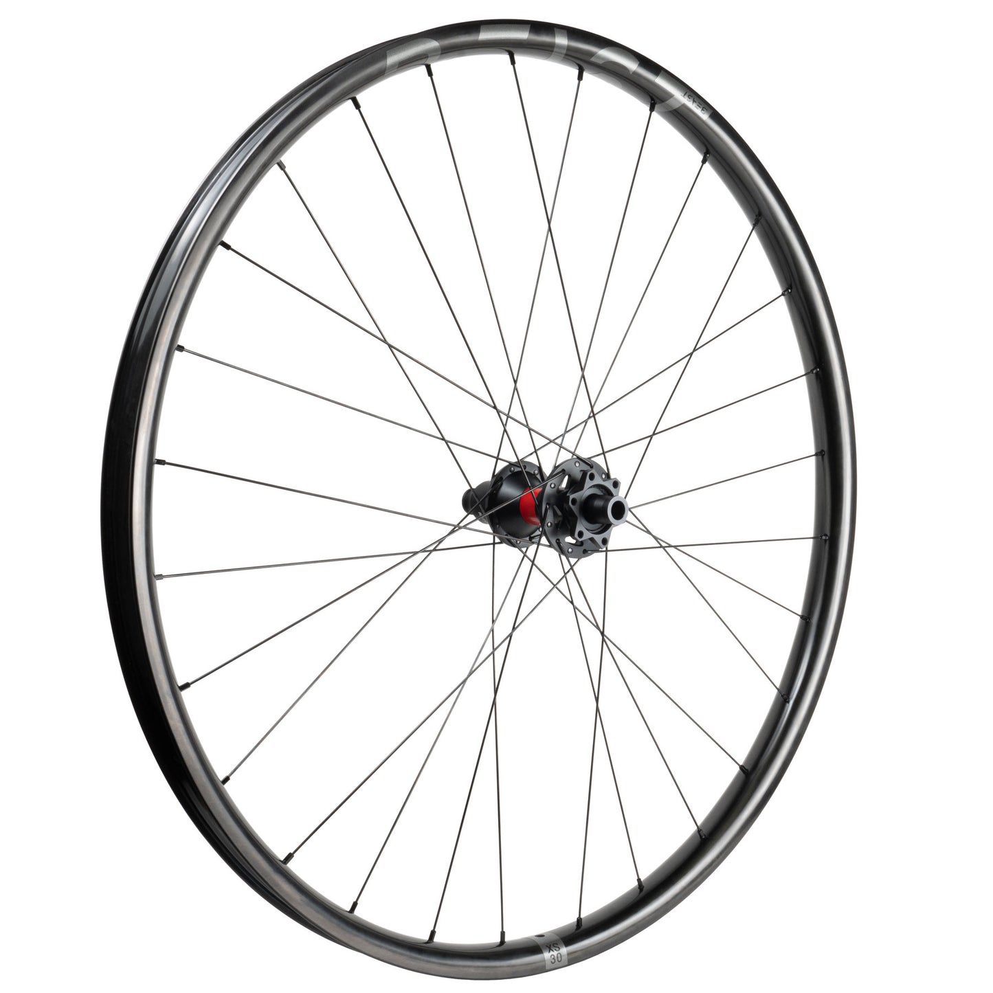 Beast Components XS30 + DT Swiss 350S - Beast Components