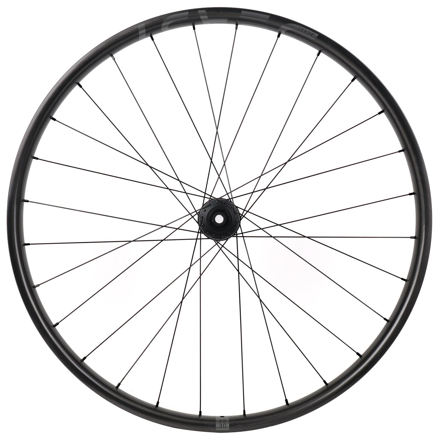 Beast Components XS30 + DT Swiss 350S - Beast Components