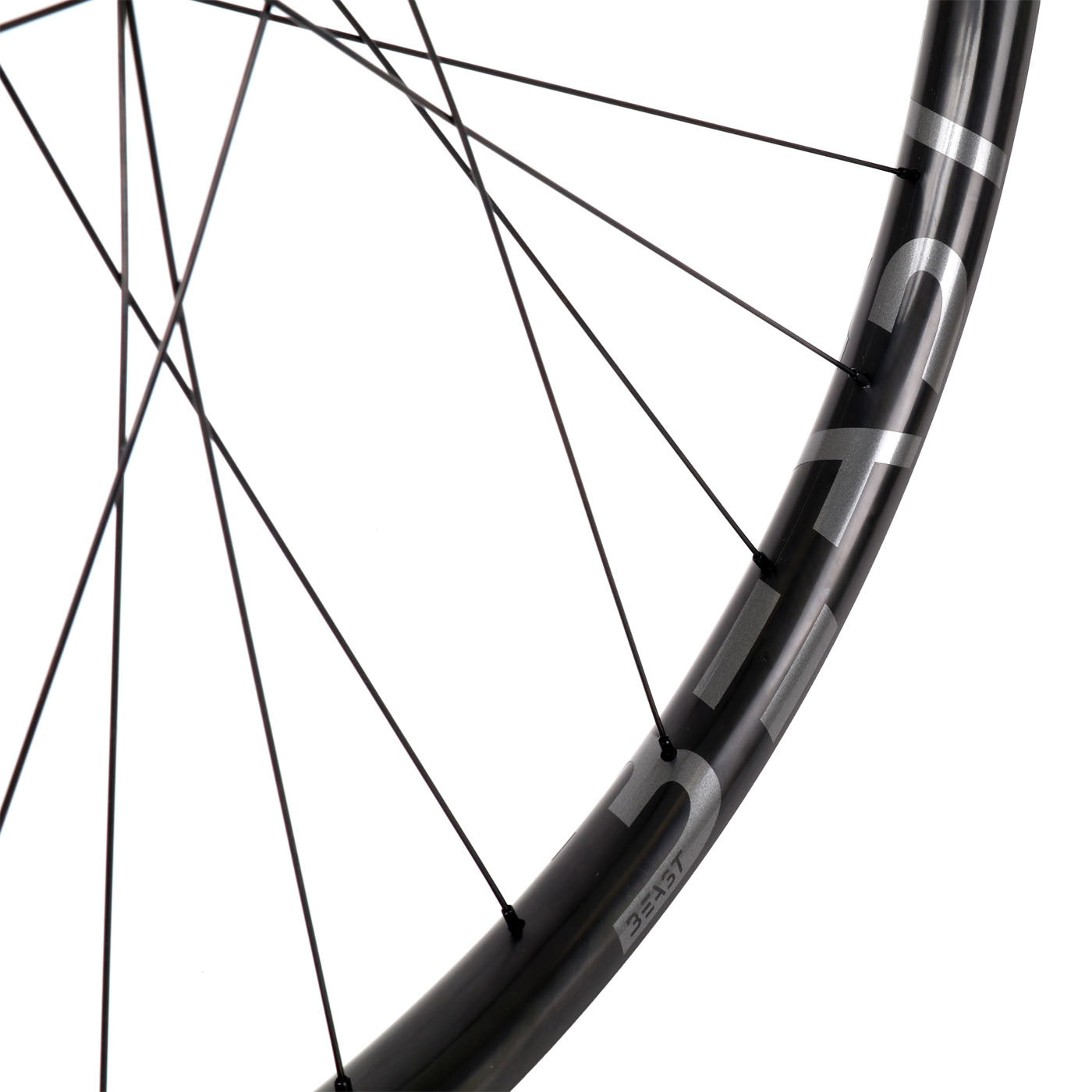 Beast Components XS30 + DT Swiss 350S - Beast Components