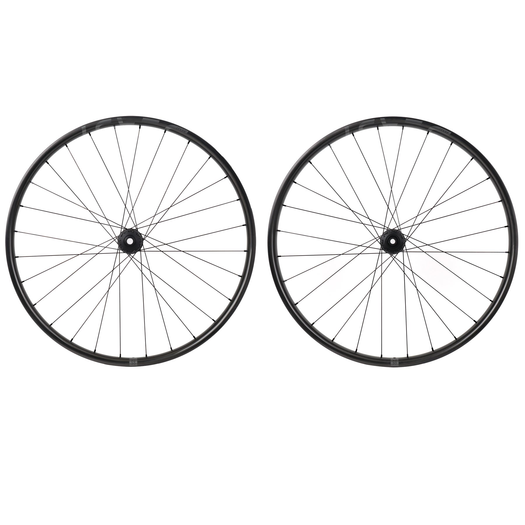 Beast Components XS30 + DT Swiss 350S - Beast Components