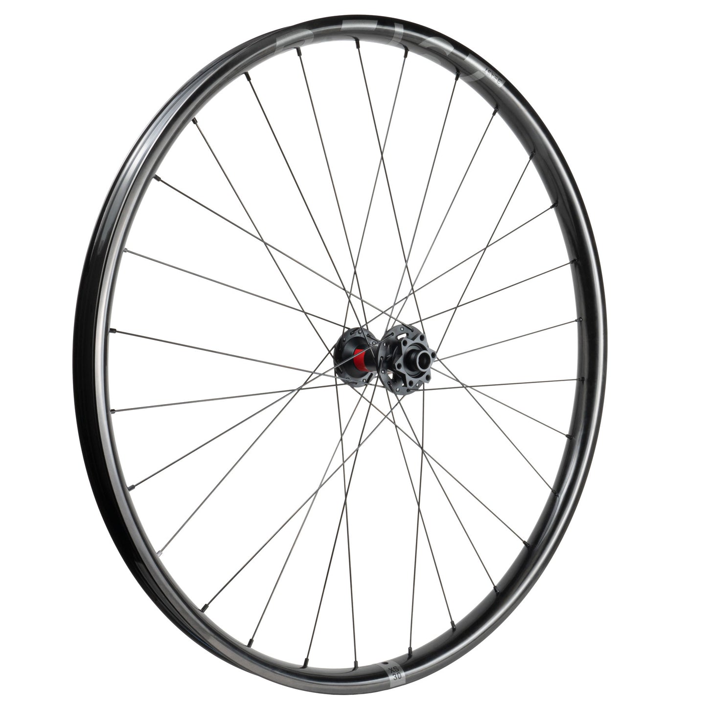 Beast Components XS30 + DT Swiss 350S - Beast Components