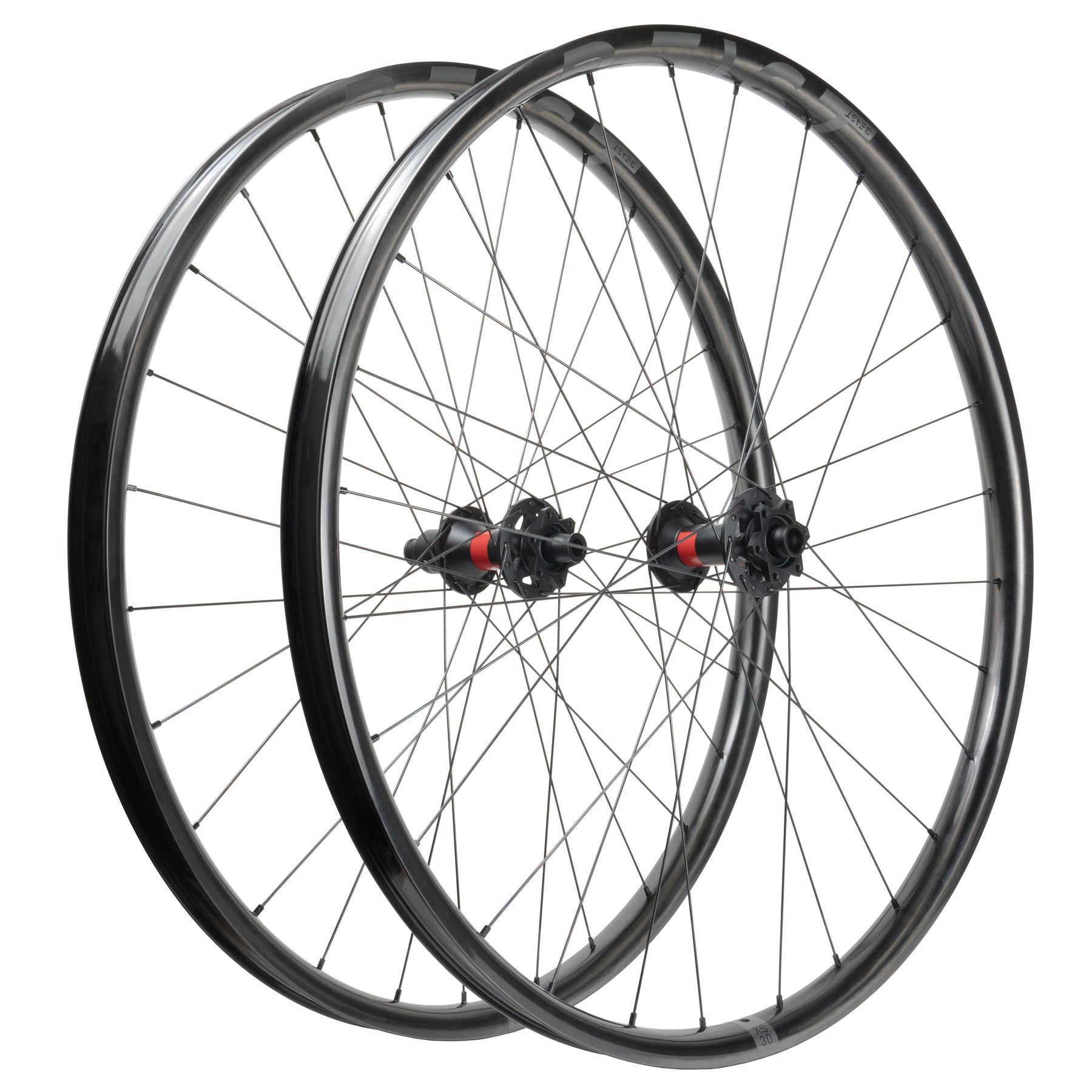 Beast Components XS30 + DT Swiss 350S - Beast Components
