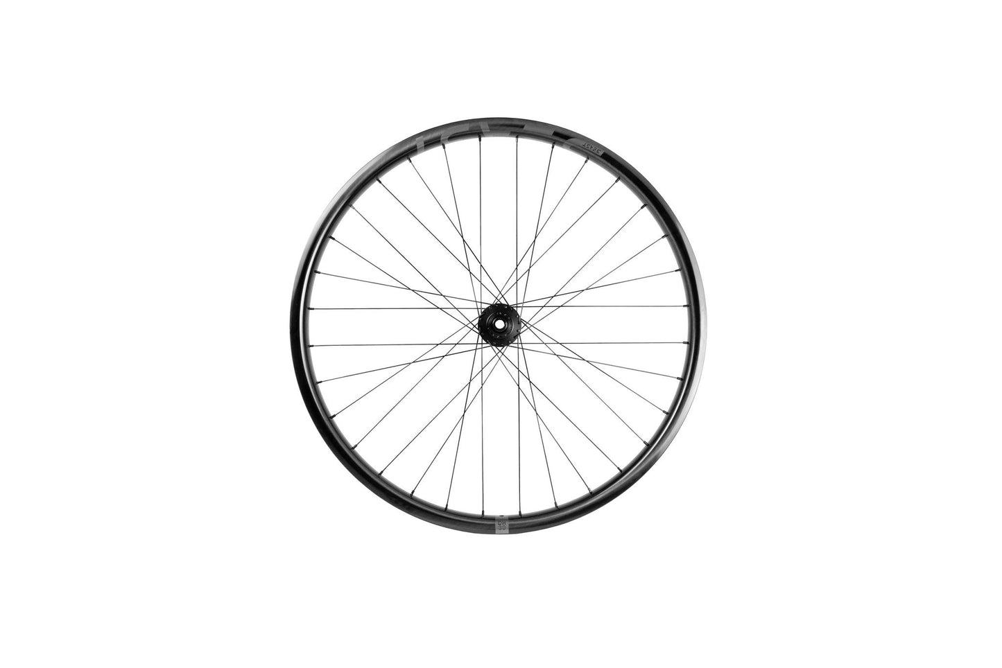 DH30 | DT Swiss 350 - Beast Components
