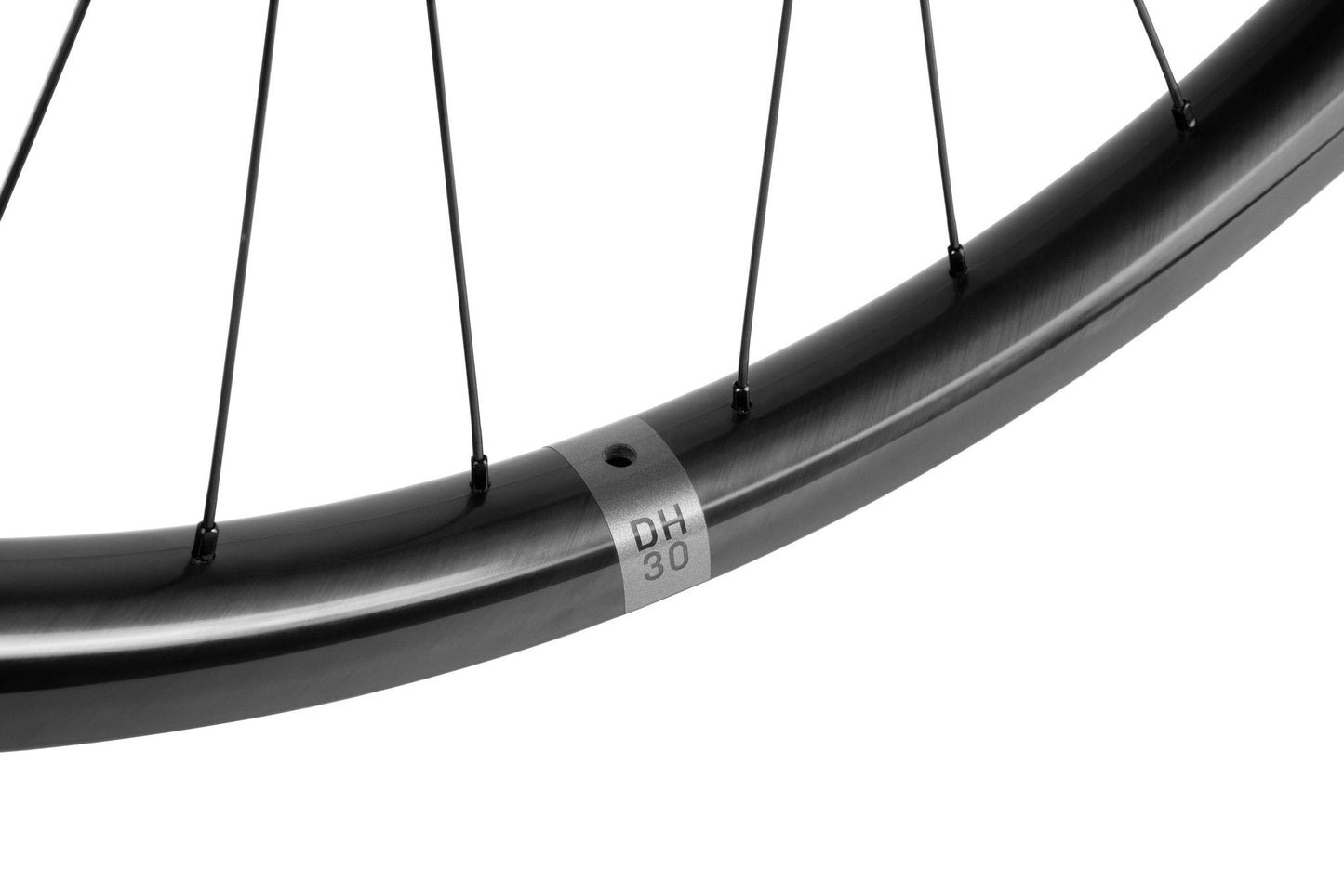 DH30 | DT Swiss 350 - Beast Components