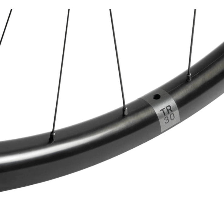 Beast Components TR30 + DT Swiss 350 - Beast Components