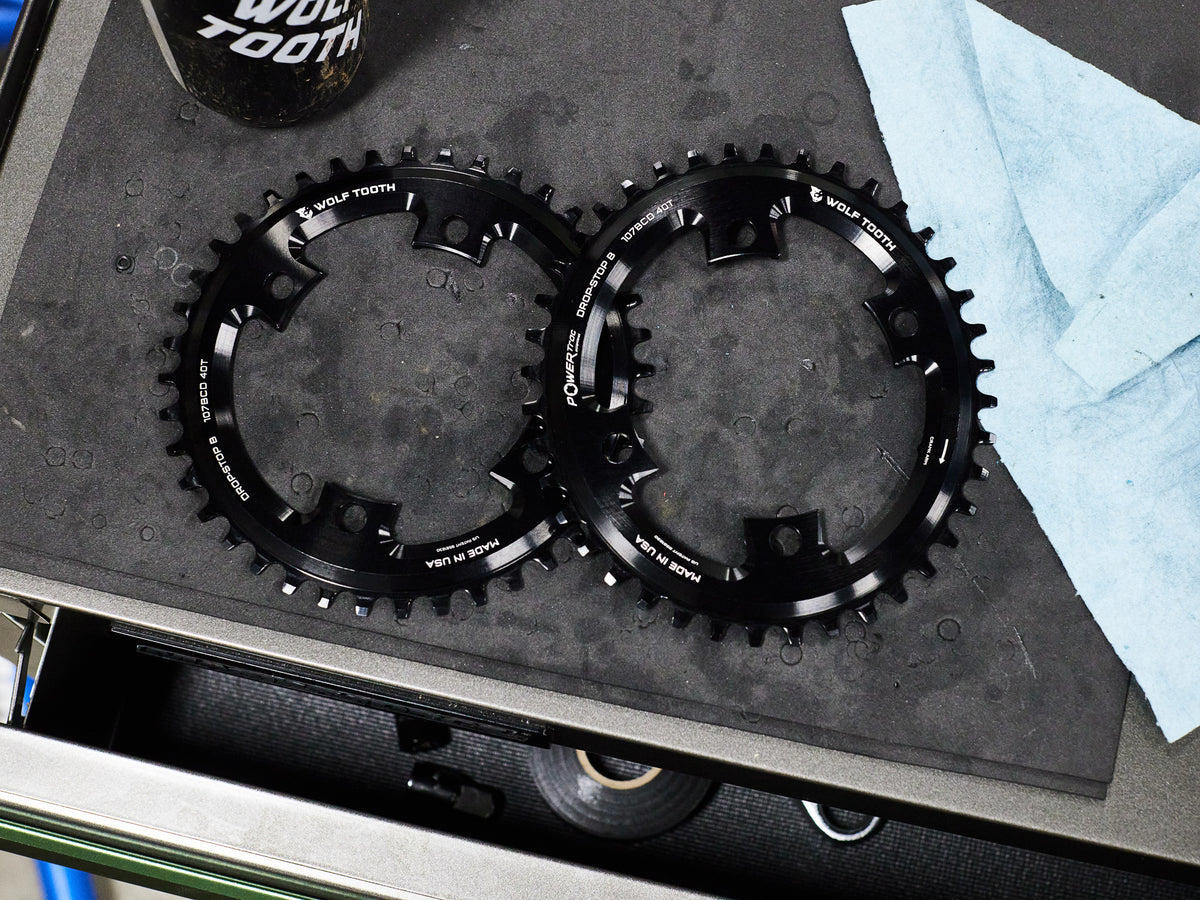 Elliptical 107 BCD Chainring for SRAM - Wolf Tooth Components